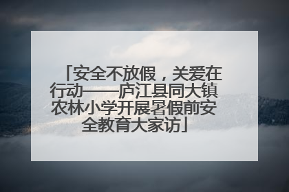 安全不放假，关爱在行动——庐江县同大镇农林小学开展暑假前安全教育大家访