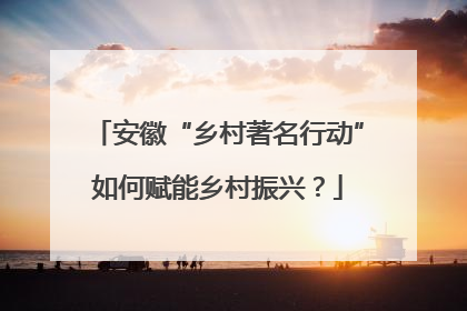 安徽“乡村著名行动”如何赋能乡村振兴？