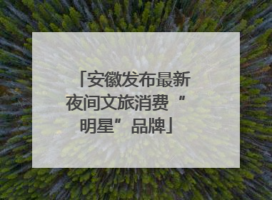 安徽发布最新夜间文旅消费“明星”品牌