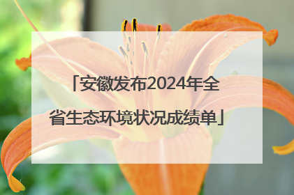 安徽发布2024年全省生态环境状况成绩单