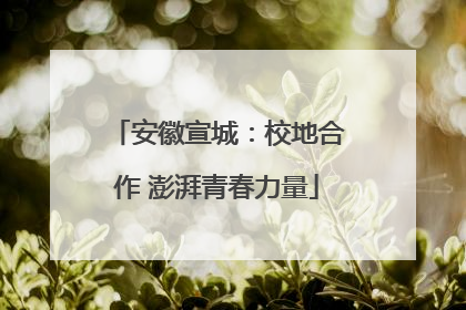 安徽宣城：校地合作 澎湃青春力量