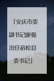 安庆市委副书记廖强出任宿松县委书记