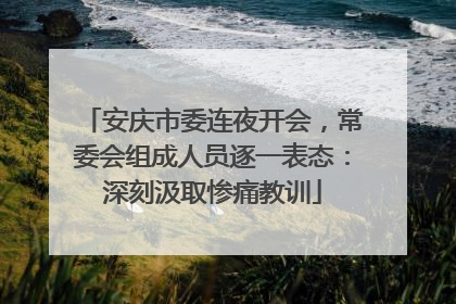 安庆市委连夜开会，常委会组成人员逐一表态：深刻汲取惨痛教训