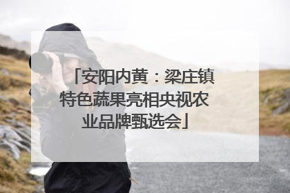 安阳内黄：梁庄镇特色蔬果亮相央视农业品牌甄选会