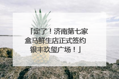 定了！济南第七家盒马鲜生店正式签约银丰玖玺广场！