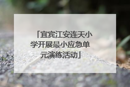 宜宾江安连天小学开展最小应急单元演练活动