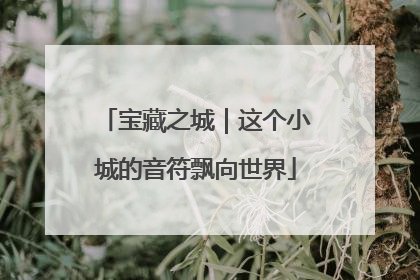 宝藏之城｜这个小城的音符飘向世界