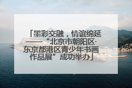 墨彩交融，情谊绵延——“北京市朝阳区·东京都港区青少年书画作品展”成功举办