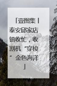 壹图集丨泰安邱家店镇收忙，收割机“穿梭”金色海洋