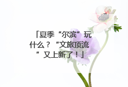 夏季“尔滨”玩什么？“文旅顶流”又上新了！