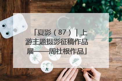 夏影（87）｜上游主题摄影征稿作品展——周社根作品