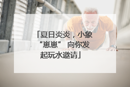 夏日炎炎，小象“崽崽” 向你发起玩水邀请