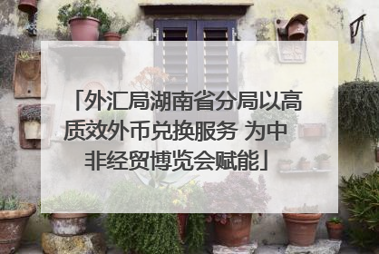 外汇局湖南省分局以高质效外币兑换服务 为中非经贸博览会赋能