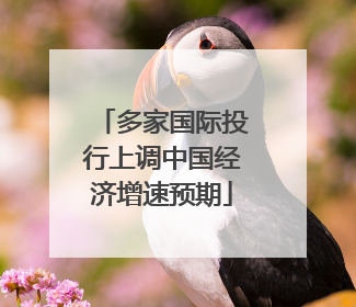 多家国际投行上调中国经济增速预期