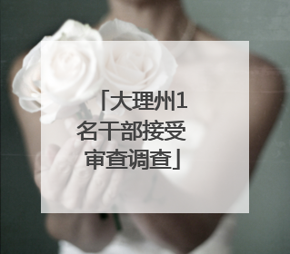 大理州1名干部接受审查调查