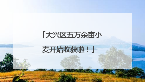 大兴区五万余亩小麦开始收获啦！