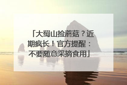 大蜀山捡蘑菇？近期疯长！官方提醒：不要随意采摘食用