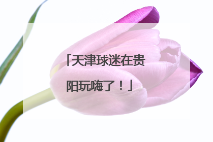 天津球迷在贵阳玩嗨了！