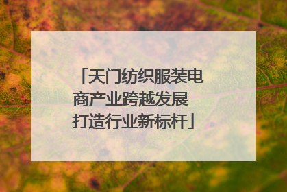 天门纺织服装电商产业跨越发展 打造行业新标杆