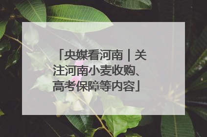 央媒看河南｜关注河南小麦收购、高考保障等内容