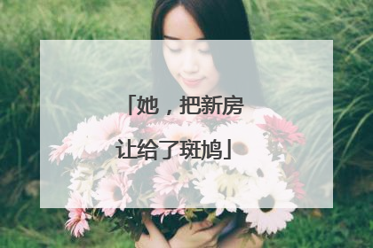 她，把新房让给了斑鸠