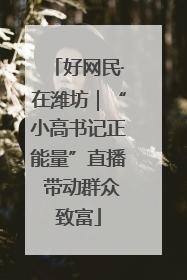好网民·在潍坊｜“小高书记正能量”直播 带动群众致富