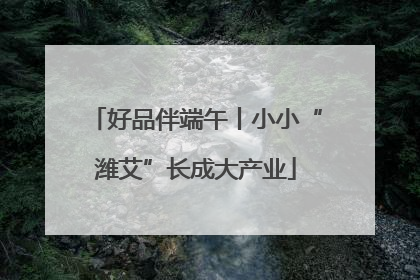 好品伴端午丨小小“潍艾”长成大产业