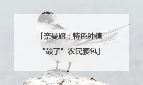 奈曼旗：特色种植“鼓了”农民腰包