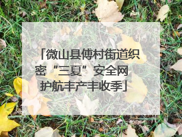 微山县傅村街道织密“三夏”安全网 护航丰产丰收季