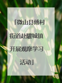 微山县傅村街道赴驩城镇开展观摩学习活动