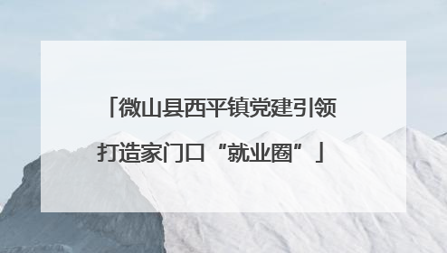 微山县西平镇党建引领打造家门口“就业圈”