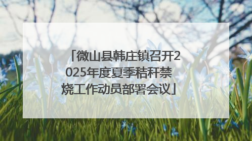 微山县韩庄镇召开2025年度夏季秸秆禁烧工作动员部署会议