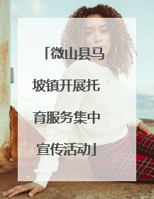 微山县马坡镇开展托育服务集中宣传活动
