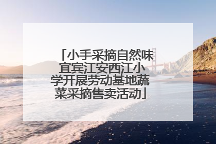 小手采摘自然味 宜宾江安西江小学开展劳动基地蔬菜采摘售卖活动