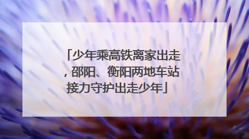 少年乘高铁离家出走，邵阳、衡阳两地车站接力守护出走少年