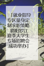 就业指导专区量身定制求职策略 德阳罗江夏季大学生专场招聘会成功举办
