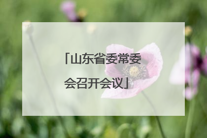 山东省委常委会召开会议