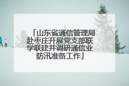 山东省通信管理局赴枣庄开展党支部联学联建并调研通信业防汛准备工作