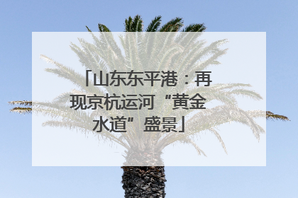 山东东平港：再现京杭运河“黄金水道”盛景