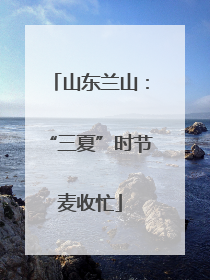 山东兰山：“三夏”时节麦收忙