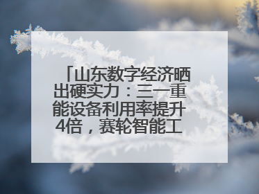 山东数字经济晒出硬实力：三一重能设备利用率提升4倍，赛轮智能工厂38秒生产一条轮胎