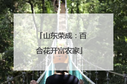 山东荣成：百合花开富农家