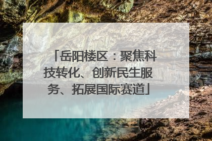 岳阳楼区：聚焦科技转化、创新民生服务、拓展国际赛道