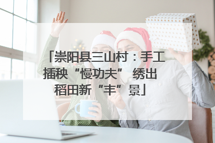 崇阳县三山村：手工插秧“慢功夫” 绣出稻田新“丰”景