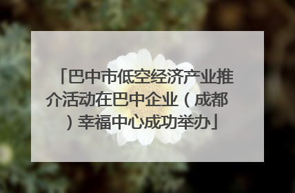 巴中市低空经济产业推介活动在巴中企业（成都）幸福中心成功举办