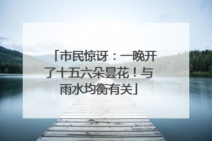 市民惊讶：一晚开了十五六朵昙花！与雨水均衡有关