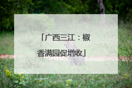 广西三江：椒香满园促增收