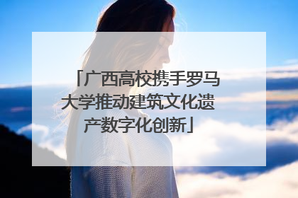广西高校携手罗马大学推动建筑文化遗产数字化创新
