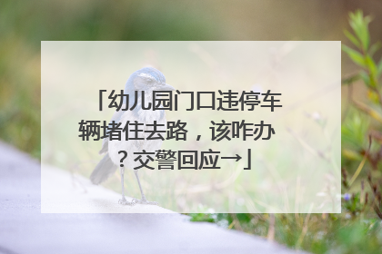 幼儿园门口违停车辆堵住去路，该咋办？交警回应→
