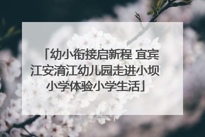 幼小衔接启新程 宜宾江安淯江幼儿园走进小坝小学体验小学生活